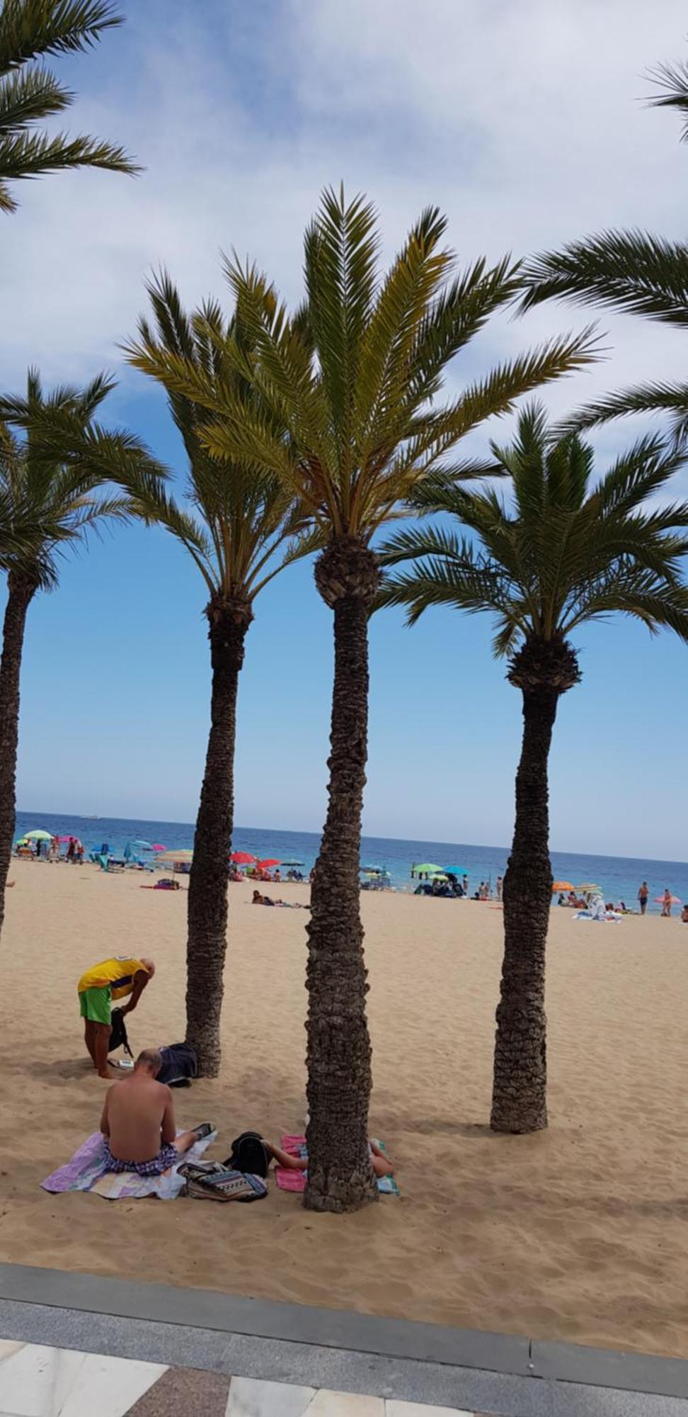 Apartamento Benidorm Beach Exterior foto