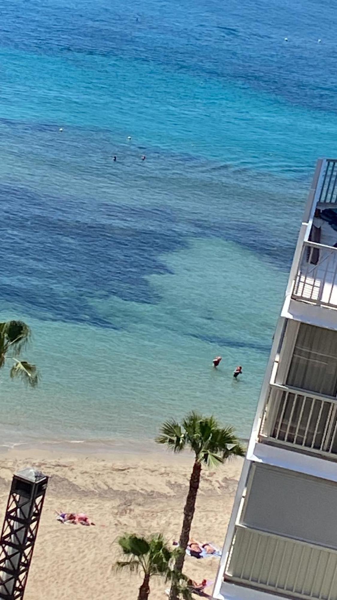 Apartamento Benidorm Beach Exterior foto